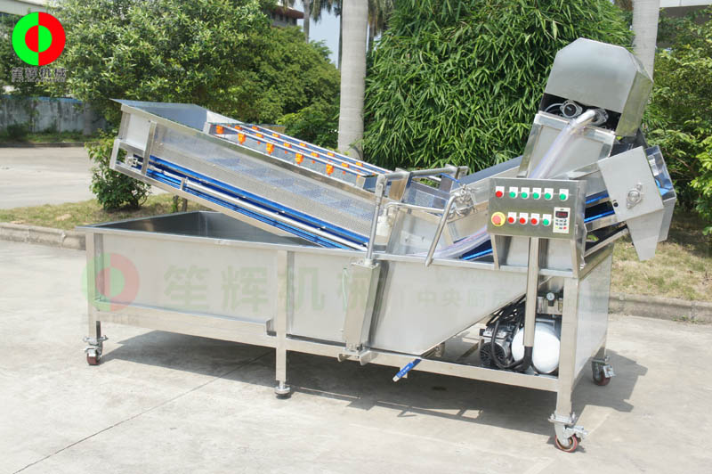 全網(wǎng)鏈輸送洗菜機