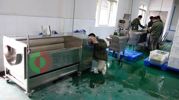 我公司為日資企業(yè)WCSP提供芥茉加工線!