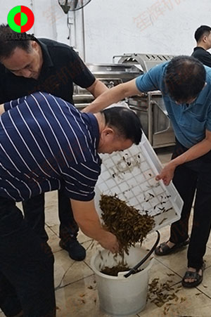 客戶來廠測(cè)試驗(yàn)貨果蔬清洗加工設(shè)備！