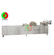 洗菜機(jī)/臭氧消毒洗菜機(jī)(帶除雜裝置)QX-42S(視頻) 洗菜機(jī)/臭氧消毒洗菜機(jī)(帶除雜裝置)QX-42S(視頻)