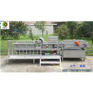 豪華型渦流洗菜機 WL-24