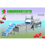 山楂清洗生產(chǎn)線/山楂清洗風(fēng)干生產(chǎn)線 山楂清洗生產(chǎn)線/山楂清洗風(fēng)干生產(chǎn)線