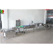 打蛋生產(chǎn)線/清洗、風(fēng)干、光檢、24頭打蛋生產(chǎn)線(視頻)