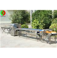 蔬菜包裝生產(chǎn)線/蔬果枕式包裝金屬檢測(cè)生產(chǎn)線(視頻) 蔬菜包裝生產(chǎn)線/蔬果枕式包裝金屬檢測(cè)生產(chǎn)線(視頻)